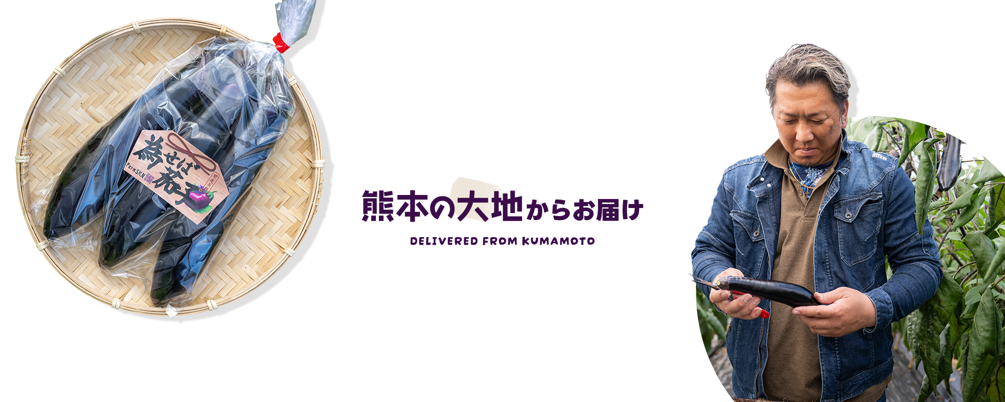 熊本の大地からお届け