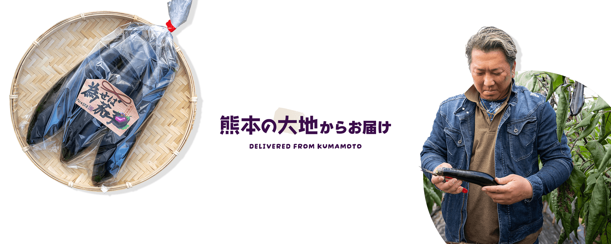 熊本の大地からお届け