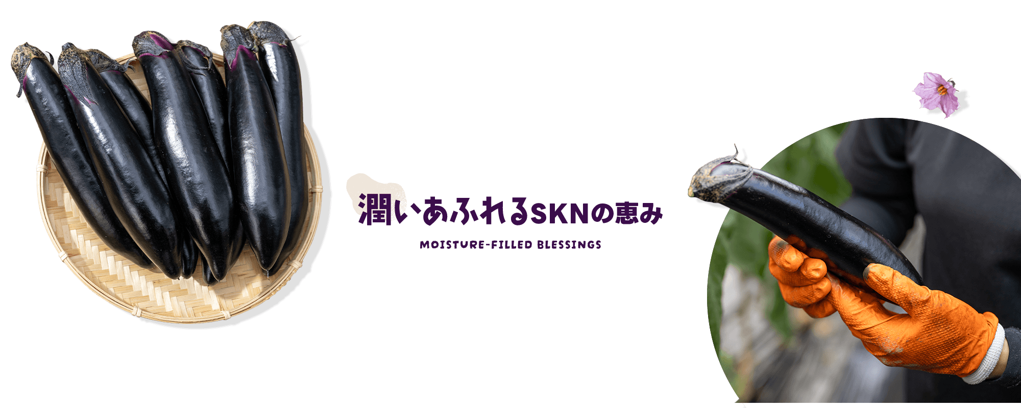 潤いあふれる、Farm SKNの恵み。