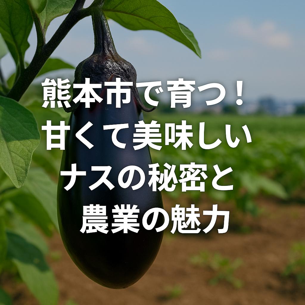 熊本市で育つ！甘くて美味しいナスの秘密と農業の魅力