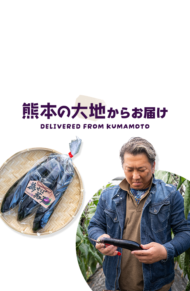 熊本県熊本市の農家のなす美をお届け｜おいしいナスはFarmSKN